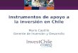 Instrumentos de apoyo a la inversión en Chile Mario Castillo Gerente de Inversión y Desarrollo