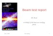 Beam test report