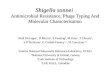 Shigella sonnei Antimicrobial Resistance, Phage Typing And Molecular Characterisation