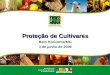 Proteção de Cultivares Belo Horizonte/MG 3 de junho de 2009