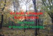 Az erdő a magyar festészetben