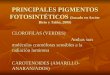 PRINCIPALES PIGMENTOS FOTOSINTÉTICOS  (basado en Azcón-Bieto y Talón, 2008)