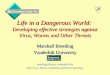 Life in a Dangerous World:  Developing effective strategies against Virus, Worms and Other Threats