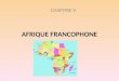AFRIQUE FRANCOPHONE