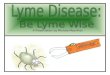 Lyme Disease: