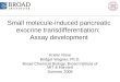 Small molecule-induced pancreatic exocrine transdifferentiation:  Assay development