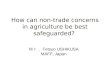How can non-trade concerns in agriculture be best safeguarded?