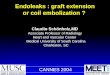 Endoleaks : graft extension or coil embolization ?