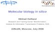 Molecular biology  in silico