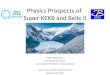 Physics Prospects of  Super KEKB and Belle II