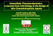 Paul M. Tulkens, MD, PhD Cellular and Molecular Pharmacology Unit