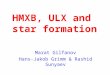 HMXB, ULX and  star formation