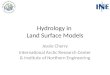 Hydrology in  Land Surface Models