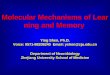 Molecular Mechanisms of Learning and Memory Ying Shen, Ph.D