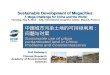 Sustainable Development of Megacities: A Mega-Challenge for China and the World