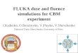FLUKA dose and fluence simulations for CBM experiment