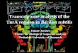 Transcriptome analysis of the TnrA regulon in  Bacillus subtilis