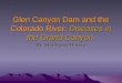 Glen Canyon Dam and the Colorado River: Diseases in the Grand Canyon