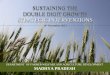 SUSTAINING THE DOUBLE DIGIT GROWTH STRATEGIC INTERVENTIONS