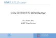 CDM 项目融资和 CDM Bazaar Dr. Xianli Zhu UNEP  Risø Centre