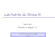 Lab Activity 11: Group III