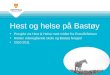 Hest og helse på Bastøy
