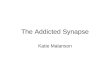 The Addicted Synapse