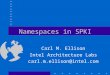 Namespaces in SPKI