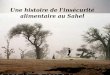 Une histoire de l’insécurité  alimentaire au Sahel