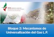 Bloque 2: Mecanismos de Universalización del Gas L.P