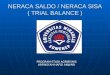 NERACA SALDO / NERACA SISA ( TRIAL BALANCE )