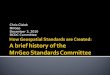 How Geospatial Standards are Created: A brief history of the  MnGeo Standards Committee