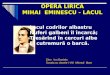 OPERA LIRICĂ MIHAI  EMINESCU - LACUL