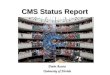 CMS Status Report