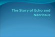 The Story of Echo and Narcissus