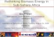 Rethinking Biomass Energy in Sub-Sahara Africa