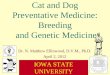 Cat and Dog Preventative Medicine: Breeding  and Genetic Medicine