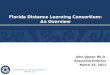 Florida Distance Learning Consortium: An Overview