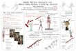 Human Motion Analysis via  Whole-Body Marker Tracking Control