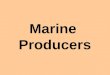 Marine  Producers