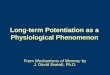 Long-term Potentiation as a Physiological Phenomenon
