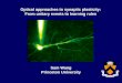 Optical approaches to synaptic plasticity:  From unitary events to learning rules