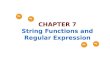 CHAPTER 7 String Functions and Regular Expression