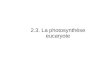 2.3. La photosynth¨se eucaryote