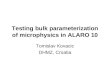 Testing bulk parameterization of microphysics in ALARO 10