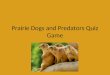 Prairie Dogs and Predators Quiz Game