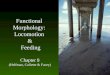 Functional  Morphology:  Locomotion  &  Feeding Chapter 8 (Helfman, Collette & Facey)