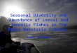 Seasonal Diversity and Abundance of Larval and Juvenile Fishes in The Upper Barataria Estuary