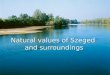 Natural values of Szeged  and surroundings