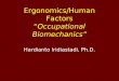 Ergonomics/Human Factors “ Occupational Biomechanics”